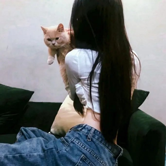 在你的冬夜里闪耀